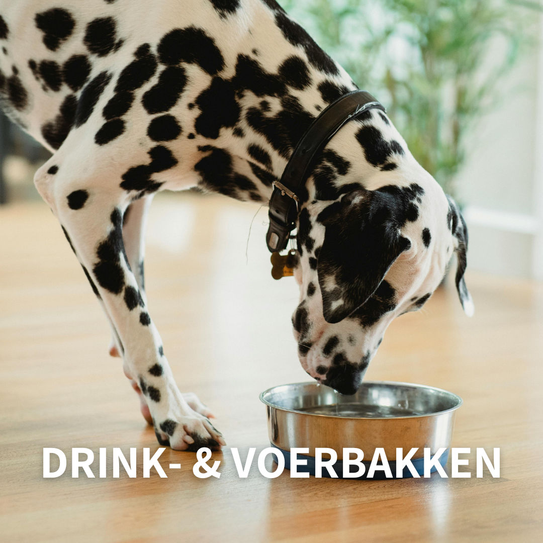 Drink- en voerbakken voor honden