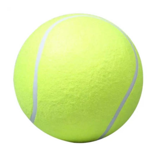 Grote tennisbal hond